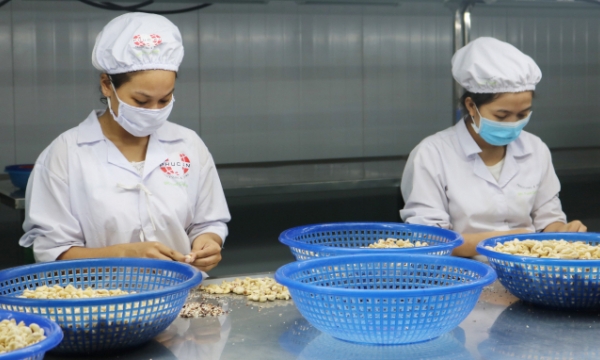 Finding ways to export Vietnamese agricultural products to Swiss market