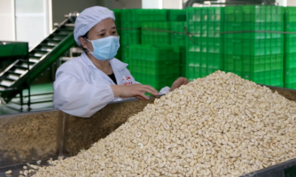 Many Vietnamese agricultural products are popular in Thailand