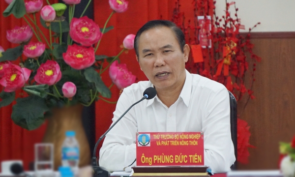Vietnam's bird nest is popular with Chinese customers