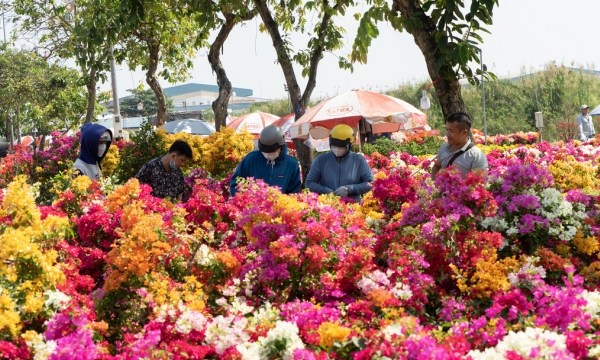 Nhộn nhịp chợ hoa Xuân Bình Điền ngày cận Tết