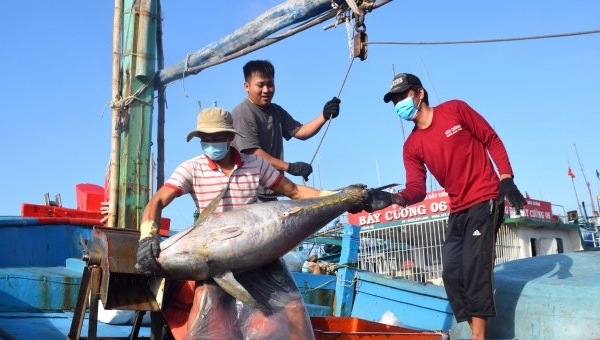 Xuất khẩu hải sản tháng đầu năm vượt 345 triệu USD