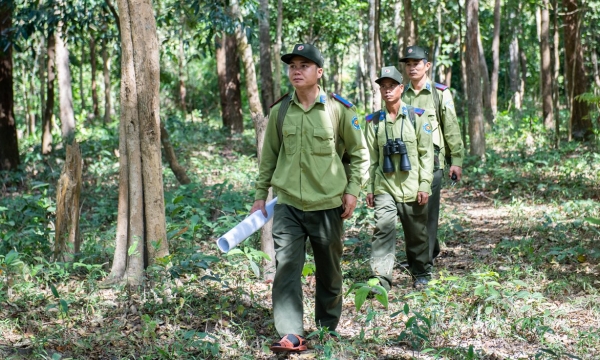 Trả lời cử tri Nghệ An các chính sách dành cho lực lượng bảo vệ rừng