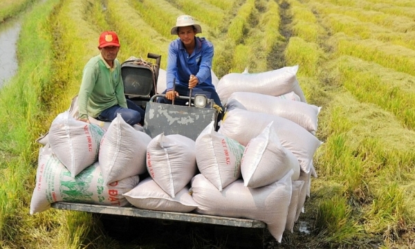 Đã xuất khẩu gần 2,4 triệu tấn gạo