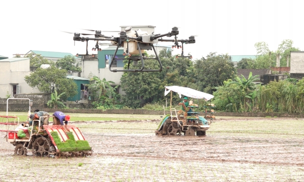 Mỗi năm Việt Nam thất thoát 3,2 triệu tấn lúa vì thiếu máy móc