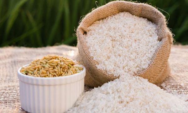 Giá gạo Việt Nam thiết lập kỷ lục mới