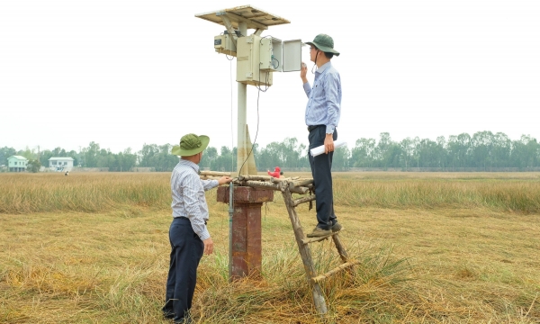 Trí tuệ nhân tạo giúp phục hồi hệ sinh thái Vườn quốc gia Tràm Chim