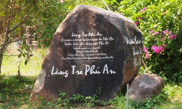 Khu bảo tồn hệ sinh thái tre đầu tiên tại Việt Nam