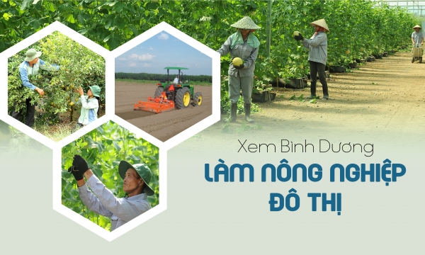 Take a look at urban farming in Binh Duong