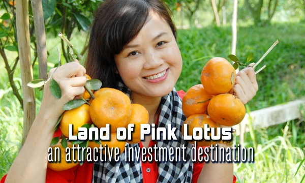 Land of Pink Lotus - an attractive investment destination