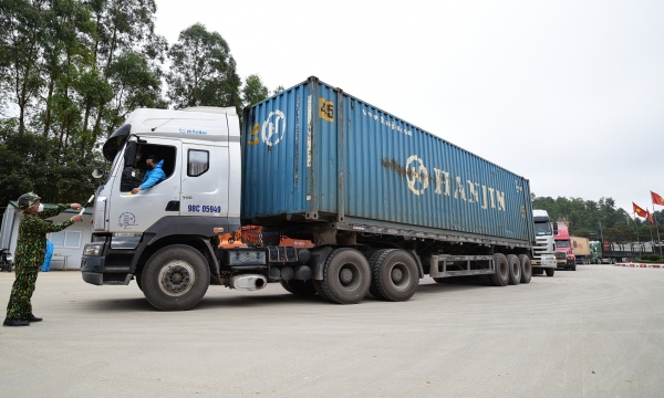 Customs clearance resumes early enabling shipment of hundreds of agricultural containers during Tet