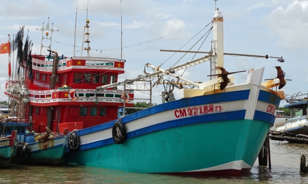 Ca Mau Province requested to drastically deal with illegal fishing