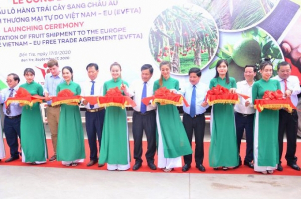 Representatives cut the ribbon to export the first batch of fruit to the European market at Vina T&T Group. Photo: Minh Đảm