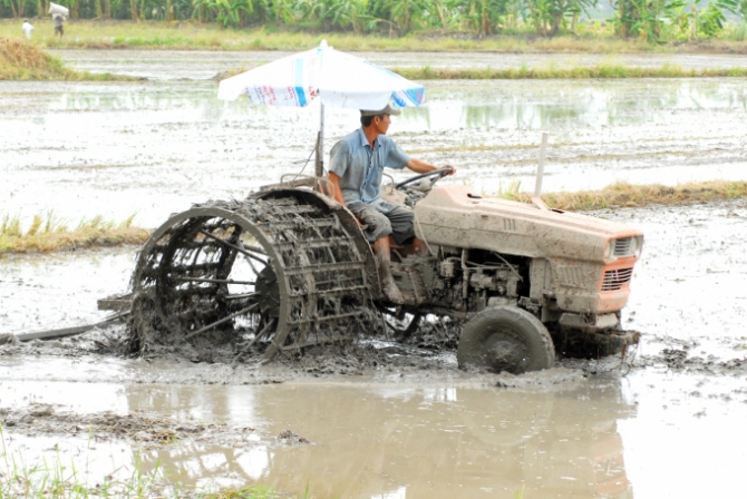 Việc xuống giống sớm vụ thu đông 2020 vùng ĐBSCL sẽ vừa đảm bảo thắng lợi, vừa đảm bảo lấy lũ vào đồng ruộng. Ảnh: Lê Hoàng Vũ.