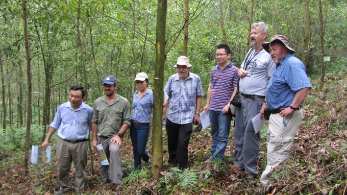 Experts from Australia visit a seed garden of the Forest Tree Improvement and Biotechnology Research Institute. Photo: IFTIB.