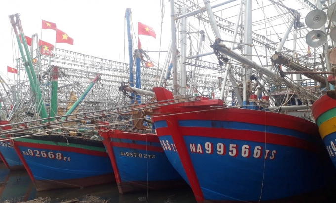 Many fishing boats built with preferential loans are not effective as expected. Photo: Viet Khanh.