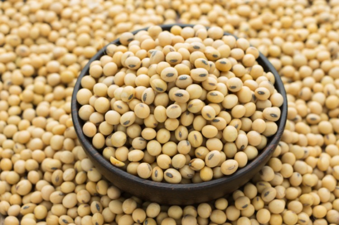 US soybean exports are projected at US$27.4 billion in the fiscal year 2021. Photo: TL.