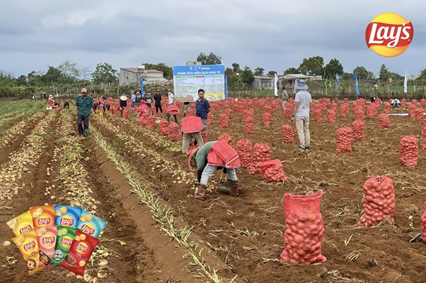  Winning consumers' trust through the national potato fields.