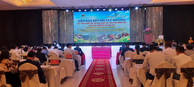 The forum 'Central Highlands Connect: Creating a linkage in agro-product production and consumption value chain' was held in Gia Lai on May 21. Photo: Tuan Anh.