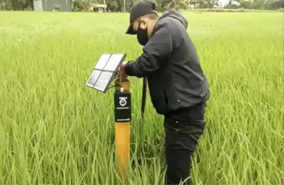 This is one of the efforts to apply smart technology in farming to reduce greenhouse gas emissions or look beyond, to help the rice industry develop sustainably in the face of climate change.