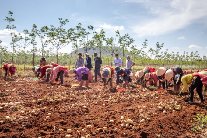 PepsiCo has been investing in potato farming since 2008 in the highland area of Vietnam.