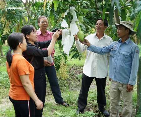 Investments in cooperatives will become assets of the community, and gradually the community will develop into partners and counterbalance with businesses to improve farmers' incomes. Photo: LHV. 