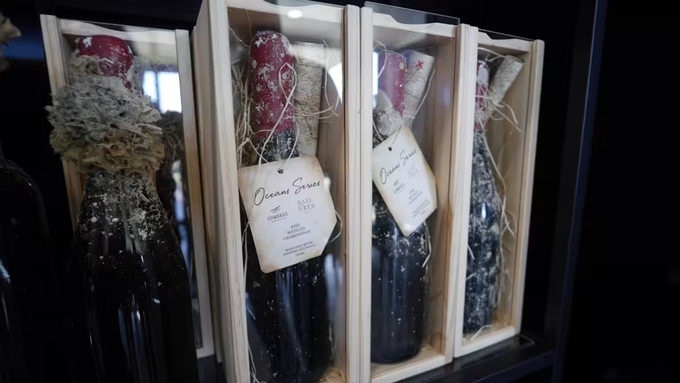 Rượu vang ủ dưới biển được ưa chuộng tại Australia