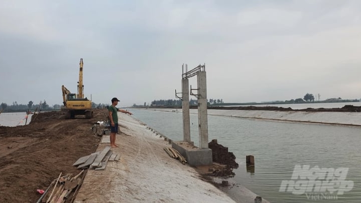 Cứu lấy gần 30ha rừng ngập mặn ở Nam Định: [Bài 2] Chủ đầu tư phải chịu trách nhiệm?