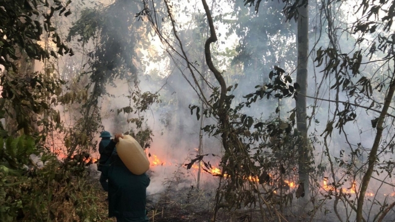 Nỗ lực chữa cháy rừng tại Vườn quốc gia Lò Gò – Xa Mát