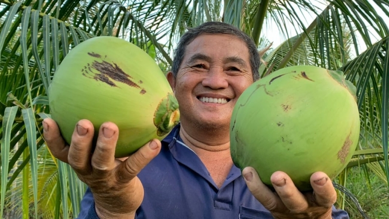 6.000ha dừa hữu cơ gắn với chế biến sâu để xuất khẩu