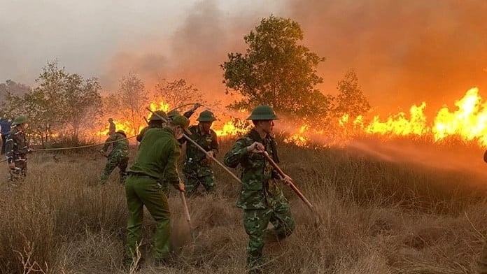 Quảng Bình liên tiếp xảy ra các vụ cháy rừng