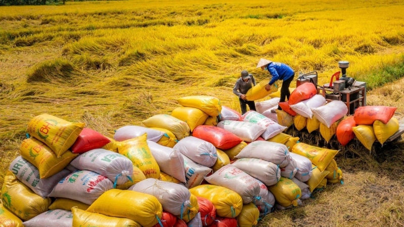 Indonesia chốt hợp đồng 108.000 tấn gạo của Việt Nam