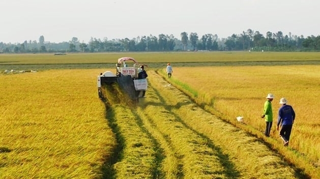 Bị thu hồi đất nông nghiệp có thể được bồi thường bằng đất ở, nhà ở