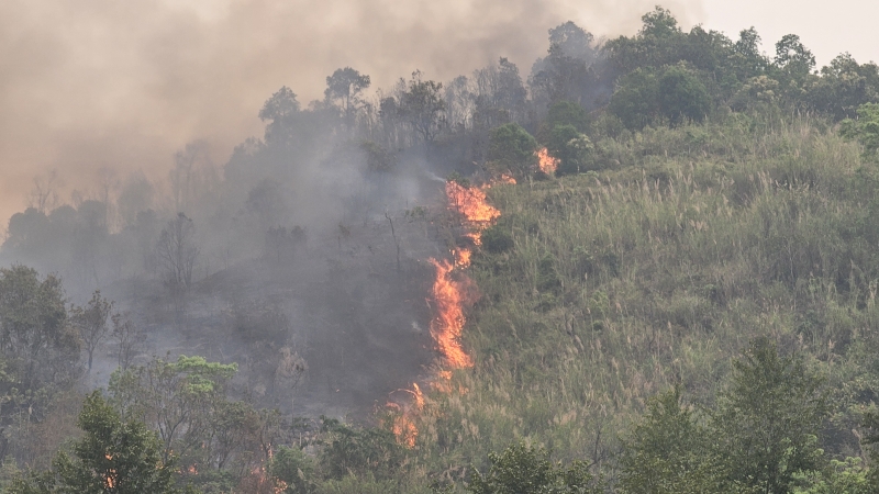 Xử phạt trường hợp đốt nương trong lúc rừng có nguy cơ cháy cao