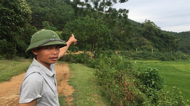 Trả đất nông lâm trường ở Phú Thọ: Bộ 'vẽ' một đường, tỉnh 'đi' một nẻo