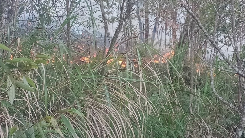 10ha rừng Tây Côn Lĩnh ở Hà Giang bốc cháy trong đêm
