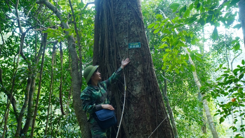 Trợ lực giúp người dân giữ rừng đặc dụng