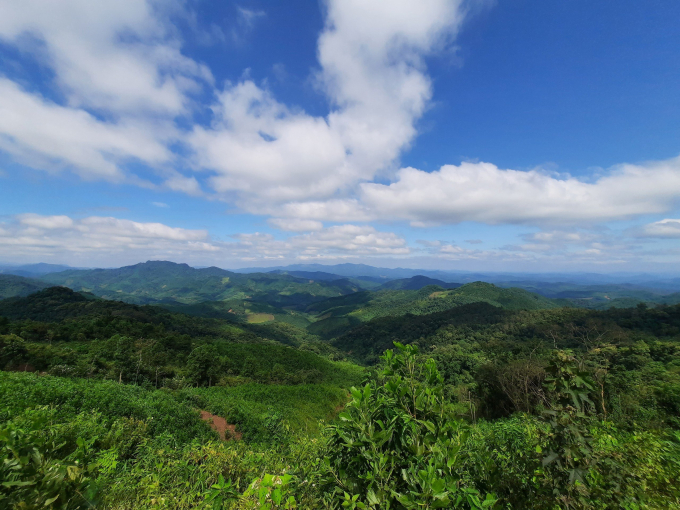 Vast green forests in Quang Ninh. Photo: Nguyen Thanh.