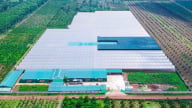TCGROUP Toàn Cầu dẫn đầu trong sản xuất giống cây trồng công nghệ cao