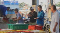 Cảng cá Trần Đề quản chặt nguồn gốc thủy sản xuất khẩu