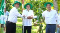 Syngenta Việt Nam: Hành trình 11 năm lan tỏa cuộc sống xanh ở nông thôn