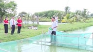 Vững bước lập nghiệp ở vùng biên nhờ nguồn vốn Agribank