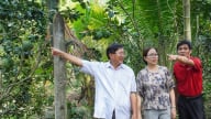 Nguồn vốn Agribank đồng hành, kinh tế nông hộ vững vàng phát triển