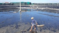 Bến Tre bứt phá về hướng Đông