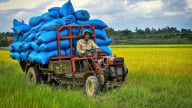 Krông Nô chuyển mình từ nông nghiệp truyền thống sang công nghệ cao