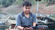 Nuôi cá lăng nha, triển vọng đột phá thu nhập