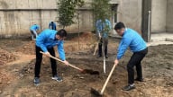 Lào Cai trồng thêm hơn 27 nghìn cây xanh tại huyện Văn Bàn
