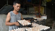 Mỗi ngày thủ phủ trứng Liên Châu mất tiền tỷ vì tin đồn 'trứng giả'