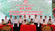 Kết nối, xúc tiến tiêu thụ vải thiều chín sớm Tân Yên