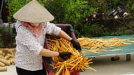 Chàng trai đưa sản phẩm gia dụng làm từ tre ra thế giới