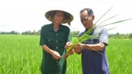 Chiến lược '6 T' và 3 đột phá trong phát triển nông nghiệp Hậu Giang